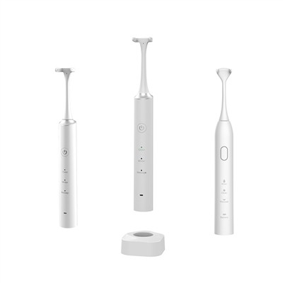 Khamphani ya Gold Rose e Thakgola Letoto la Flosser ya Mohlagase ya Bohlale y...