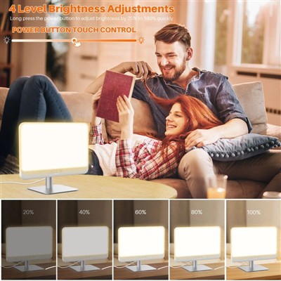 Tshekatsheko ya botebo bja ditshenyegelo tša tšweletšo ya lebone tše di nyami...